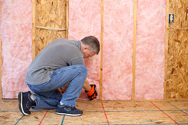 Best Insulation Maintenance and Repair in Lago Vista, TX