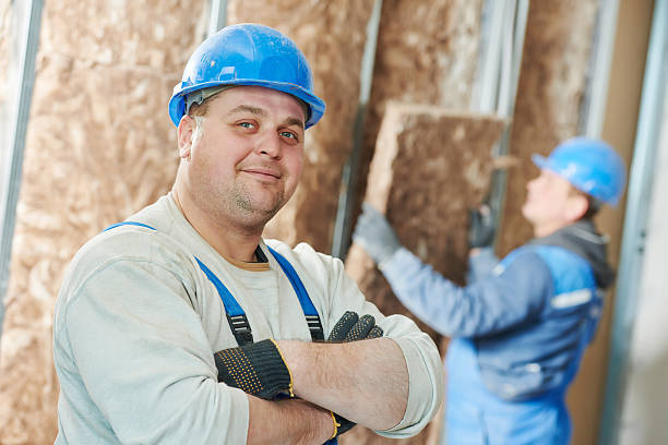 Best Insulation Installation Services in Lago Vista, TX